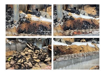 Damaged Stock of Broken Rice, Rice Bran, Rice, Gunny Bags and BOPP bags- Available in lumps